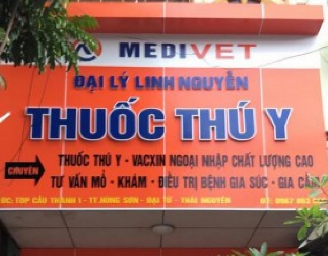 Thi Công Bảng Hiệu Phòng Khám Cho Thú Cưng Tại Biên Hòa